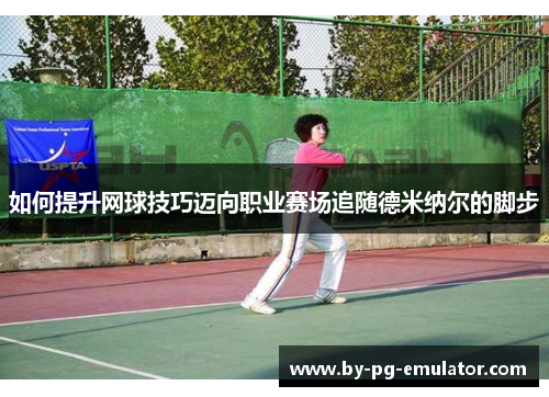 如何提升网球技巧迈向职业赛场追随德米纳尔的脚步