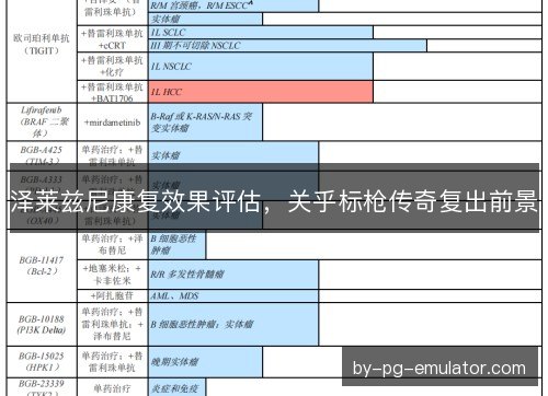 泽莱兹尼康复效果评估，关乎标枪传奇复出前景